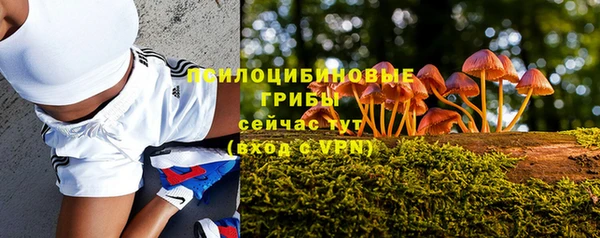 гашиш Алексин